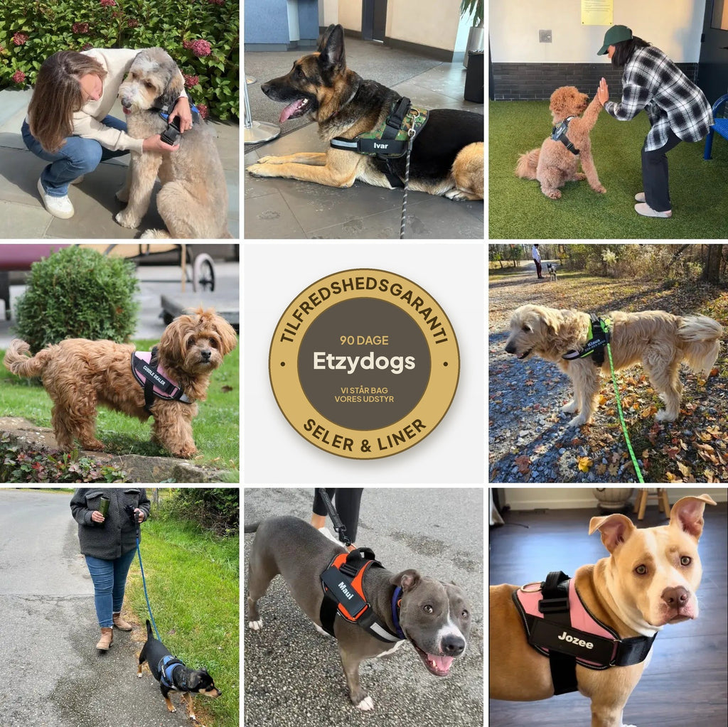 Etzydogs™ Personlig Hundesele