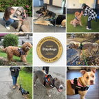 Etzydogs™ Personlig Hundesele