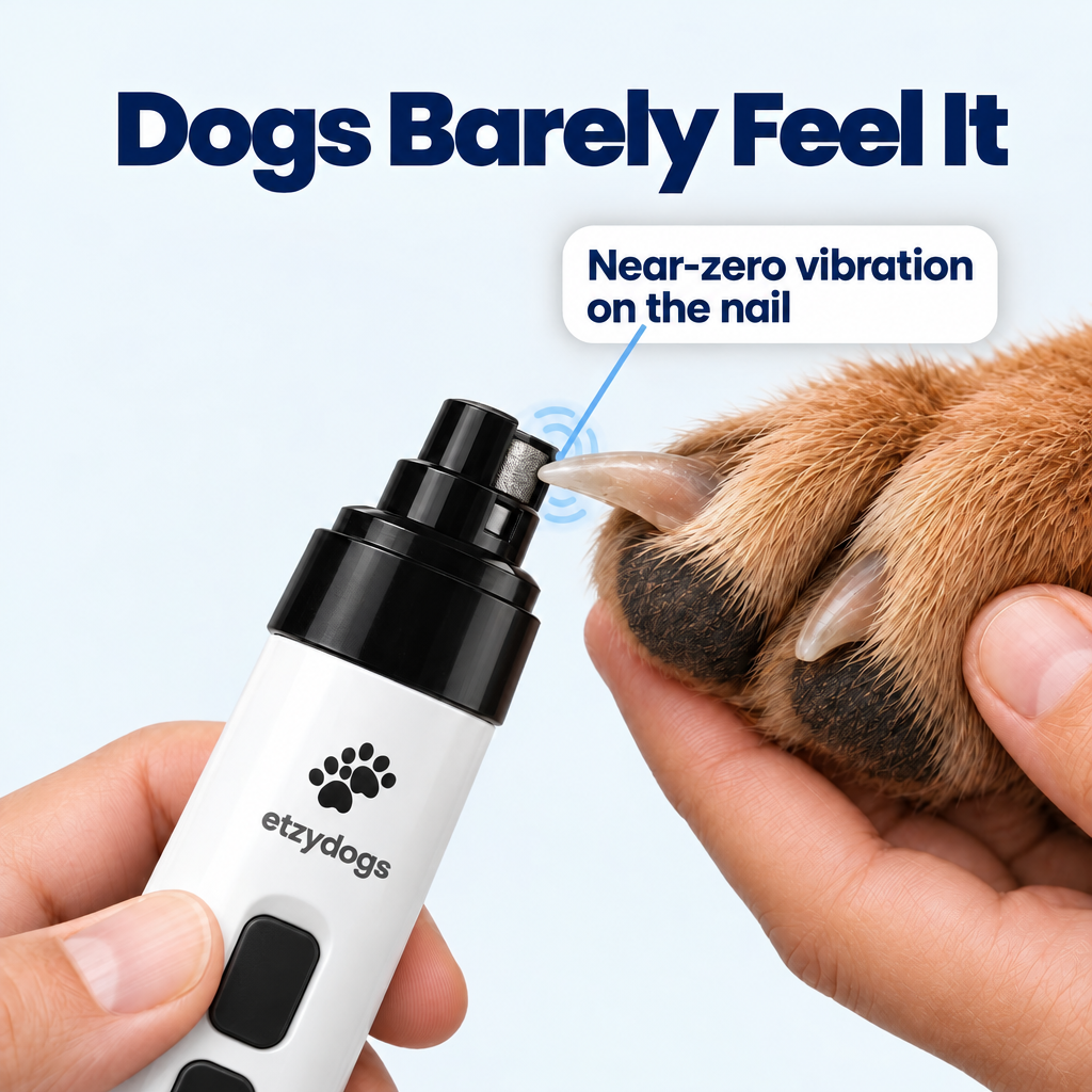 Dogs barely feel it, near-zero vibration